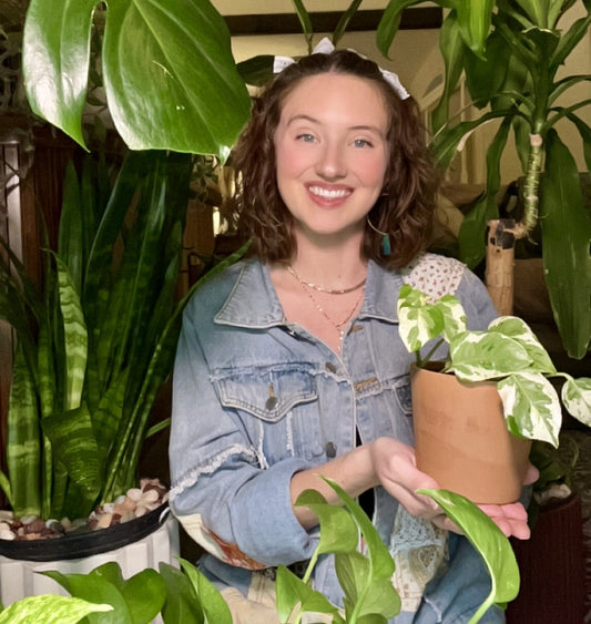My Journey Into Indoor Gardening