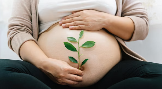 How Pregnancy Changed My Relationship with My Plants