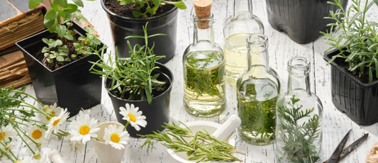 My New Obsession With Non‑Toxic Home Swaps