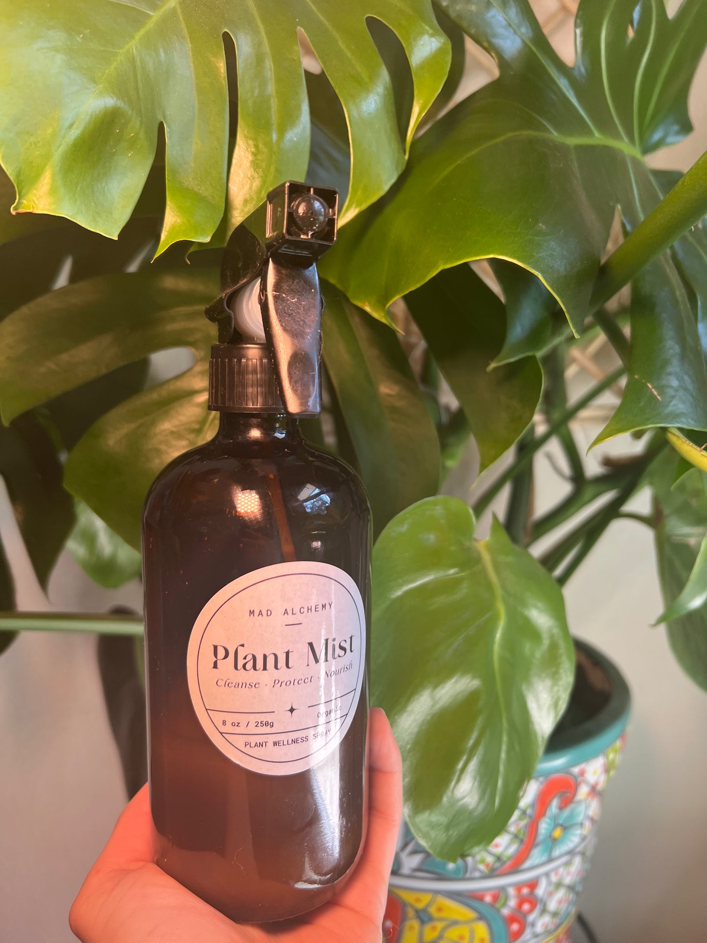 Plant Mist