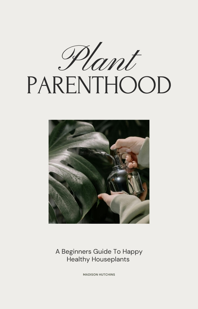 Plant Parenthood: A Beginners Guide to Happy Healthy Houseplants